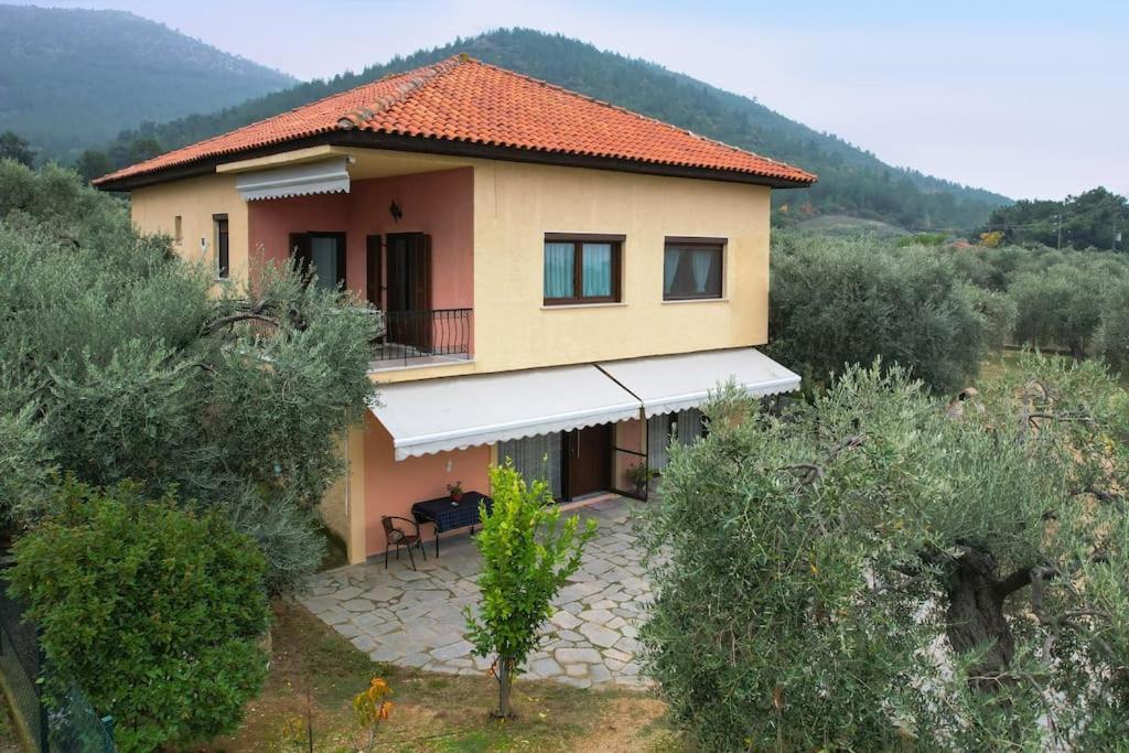 Villa Olive'S House Skala Rachoni  Exterior foto