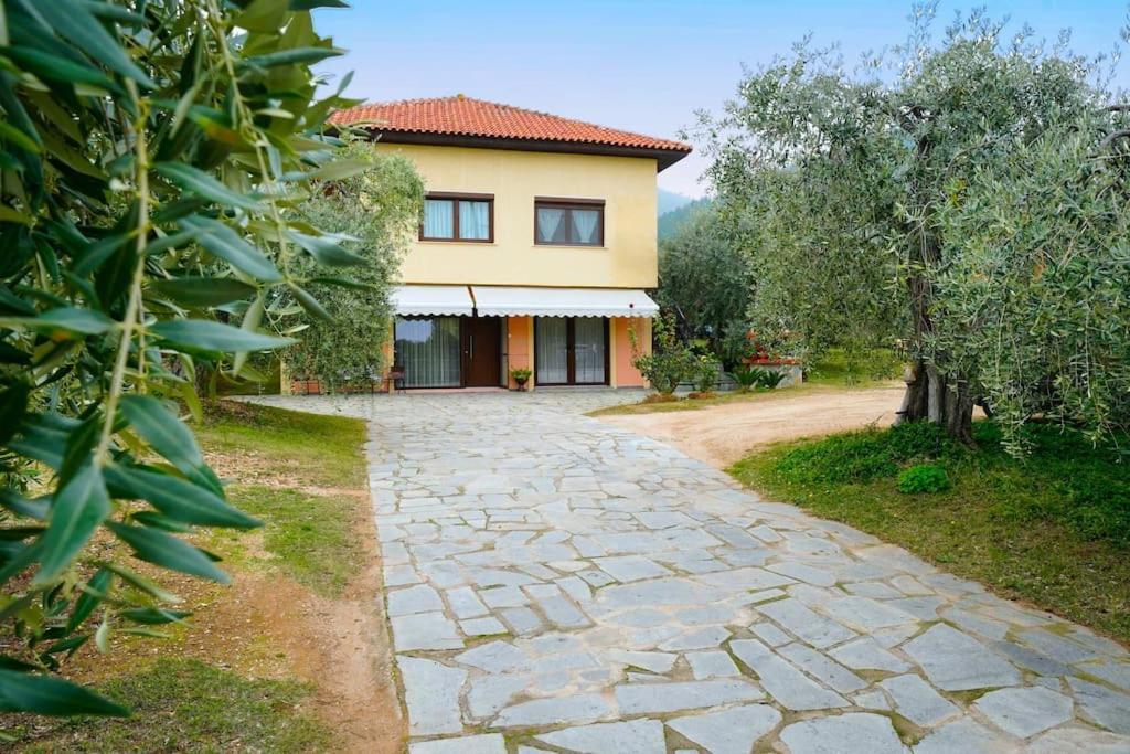 Villa Olive'S House Skala Rachoni  Exterior foto